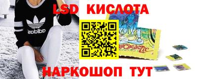 a pvp Можга