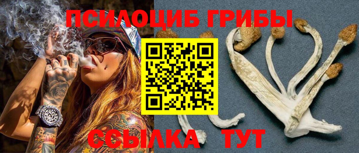 Галлюциногенные грибы Cubensis  Вход с VPN  Сибай 